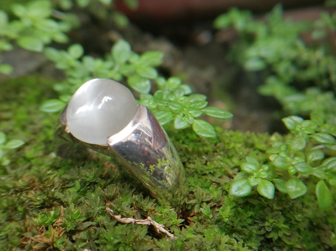 Danu Group-Kahawatta必去景点