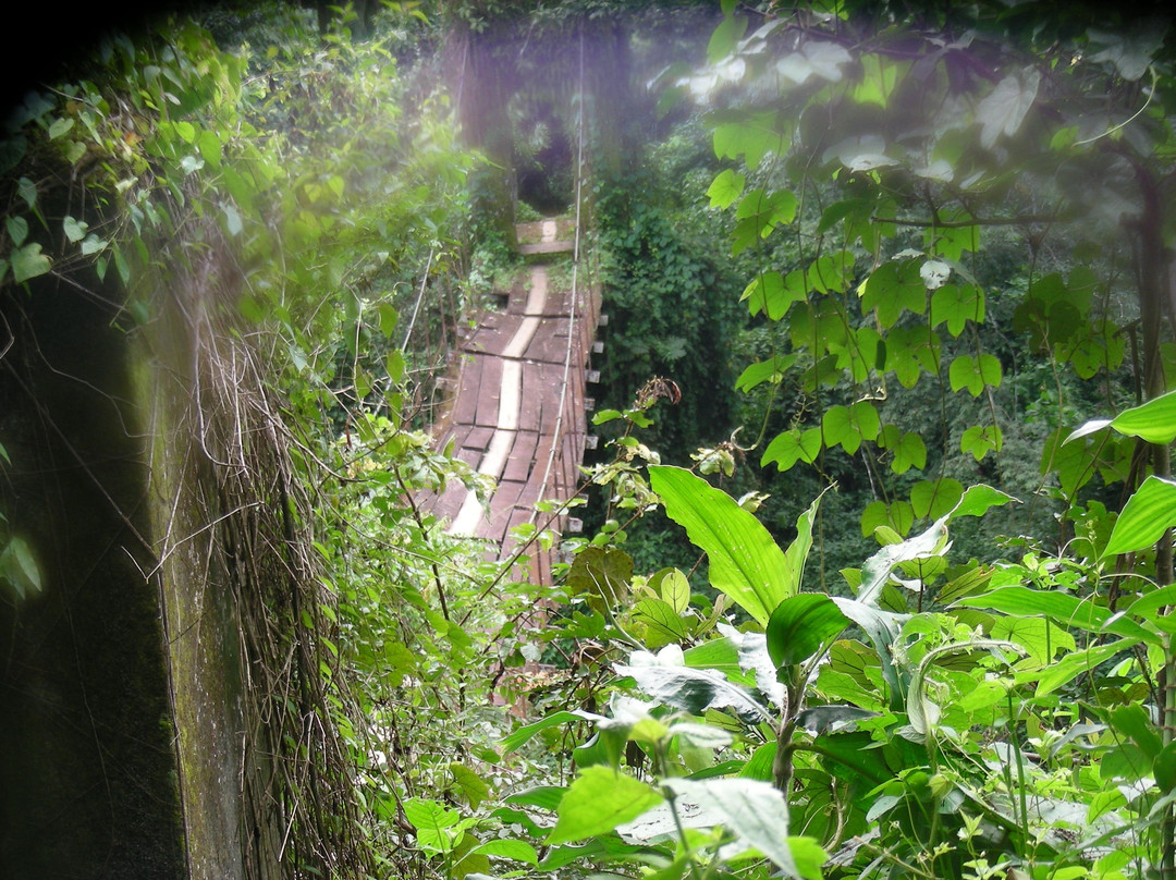 Mamfe旅游攻略图片