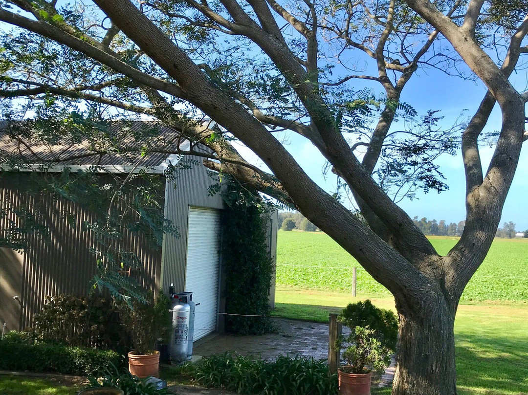 The Willows B n B主图