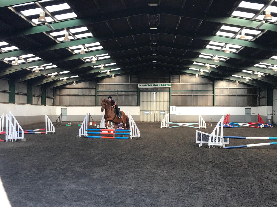 Newton Hall Equitation Ltd