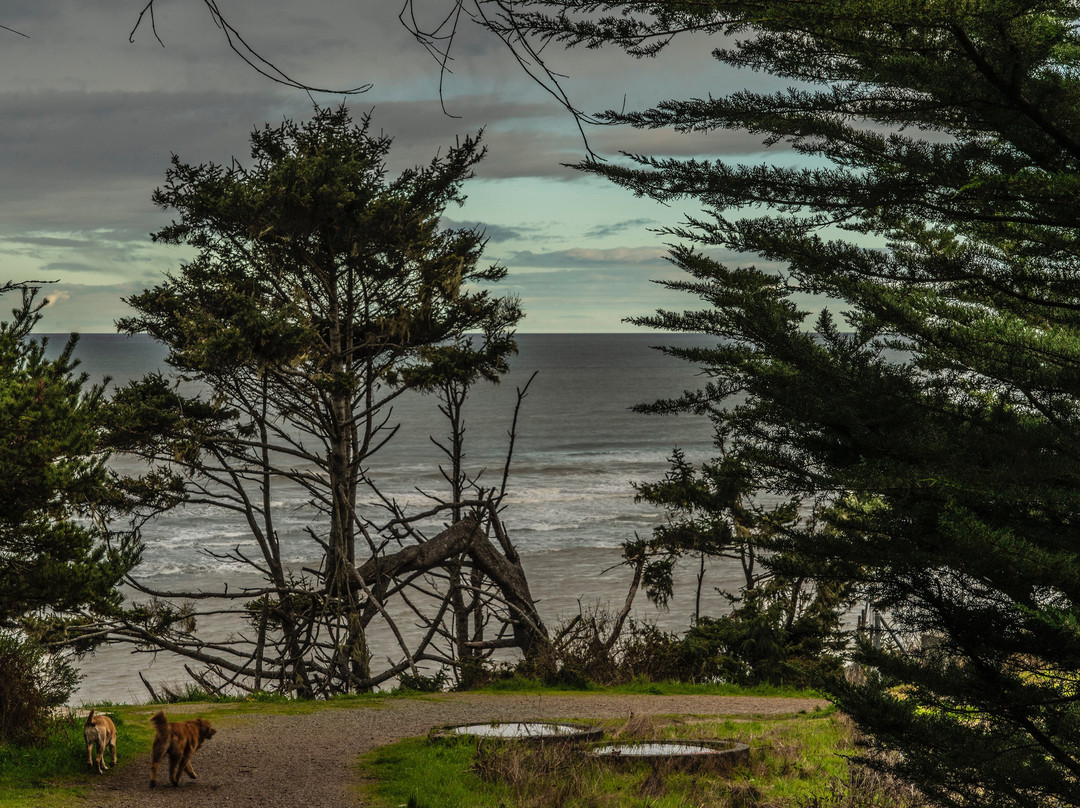 Hammond Trail-McKinleyville必去景点