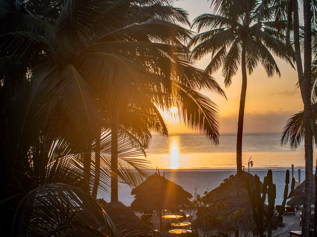 Pinewood Beach Resort and Spa主图