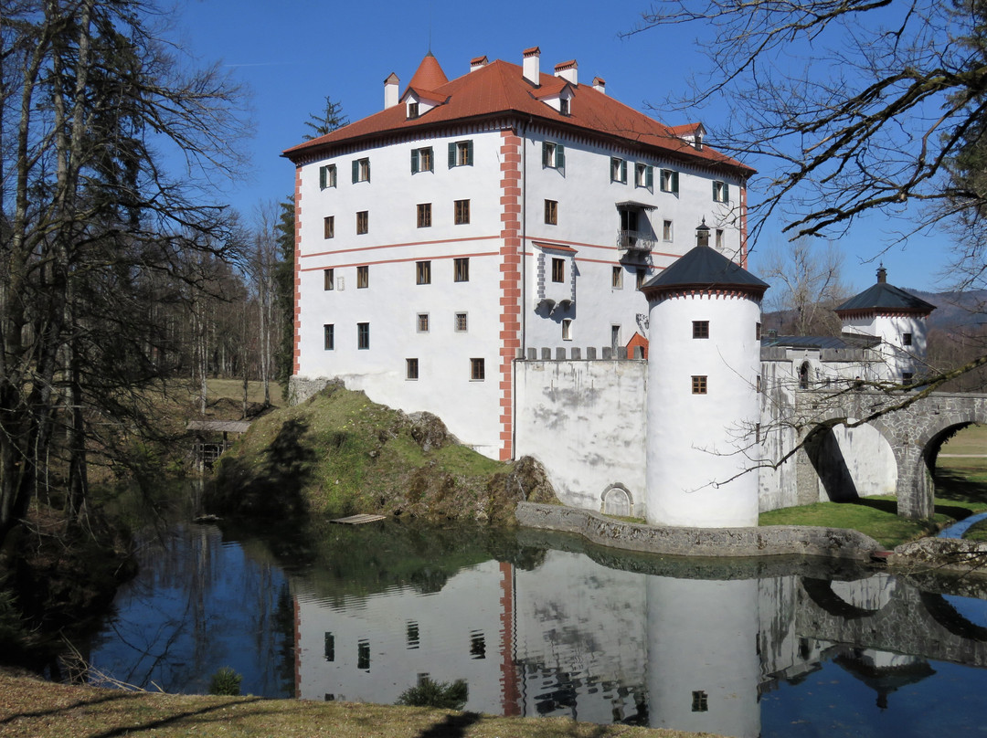 Sneznik Castle Museum景点图片