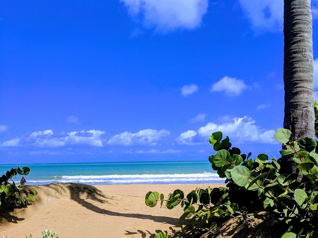 Margaritaville Vacation Club At Wyndham Rio Mar主图