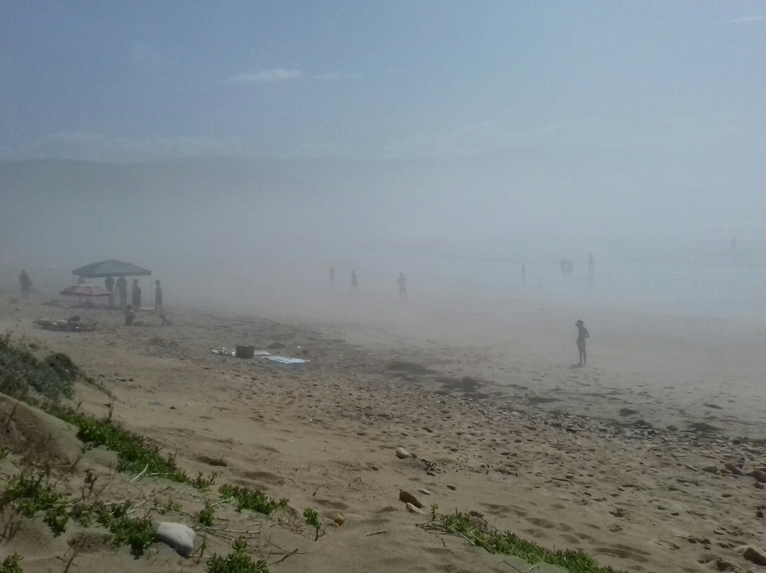 Buffels Bay Beach-Cape Point必去景点