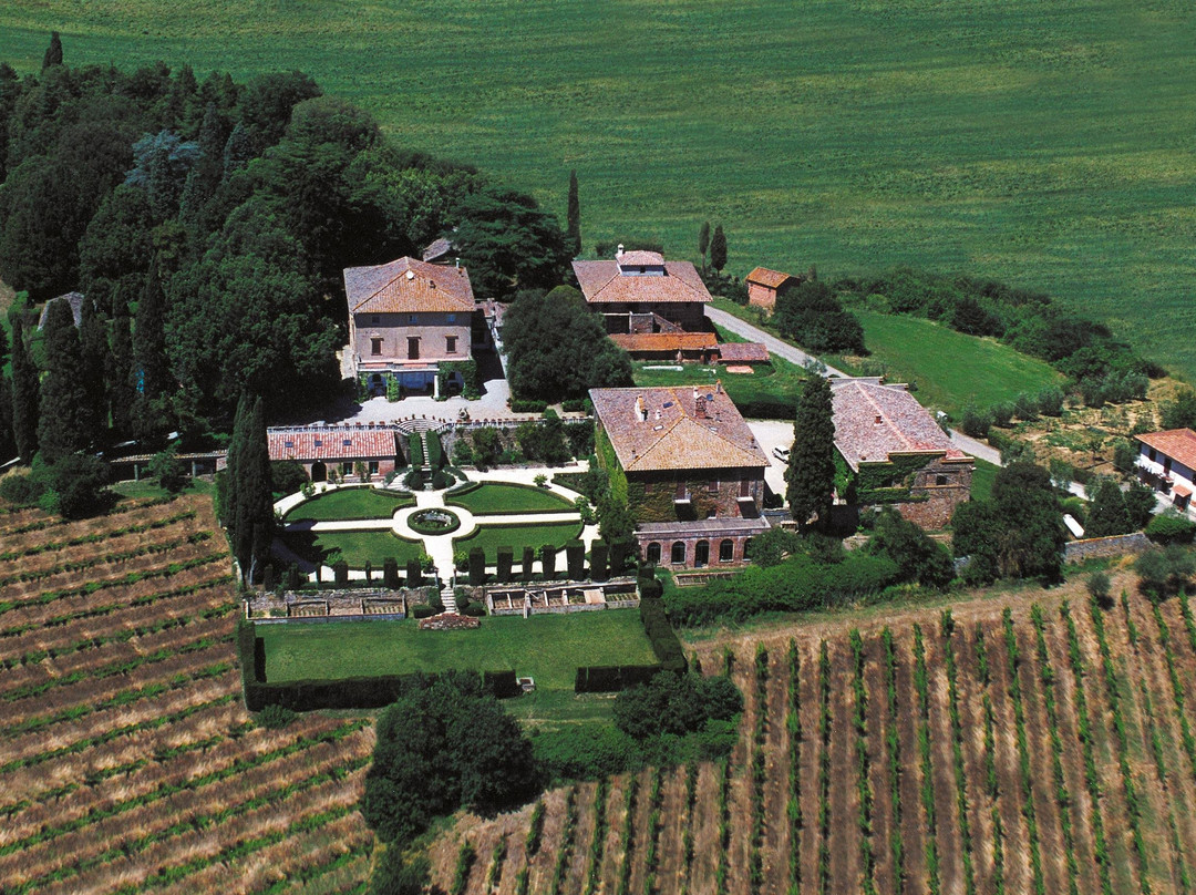 Vini di Toscana srl景点图片