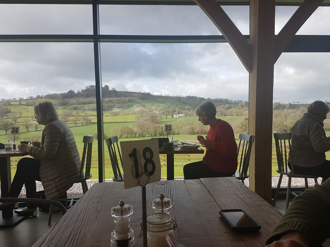 Payhembury旅游景点-Otter Valley Dairy