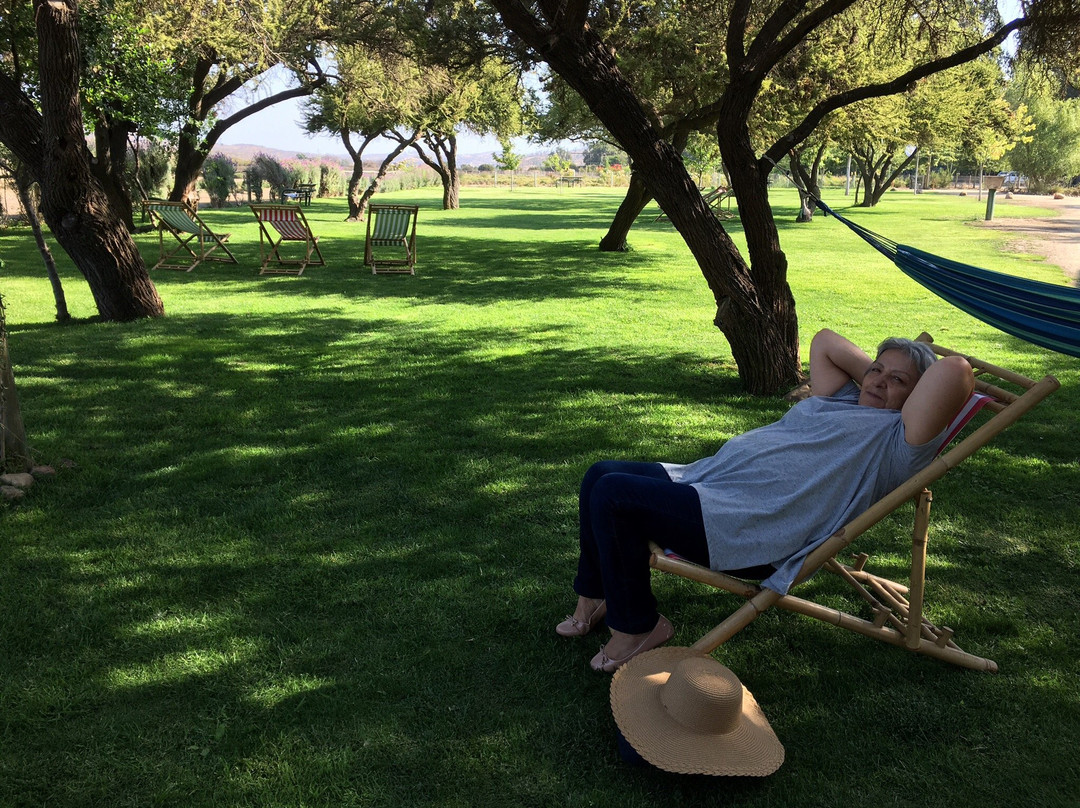 Granja Aromatica Los Aromos-Limache必去景点