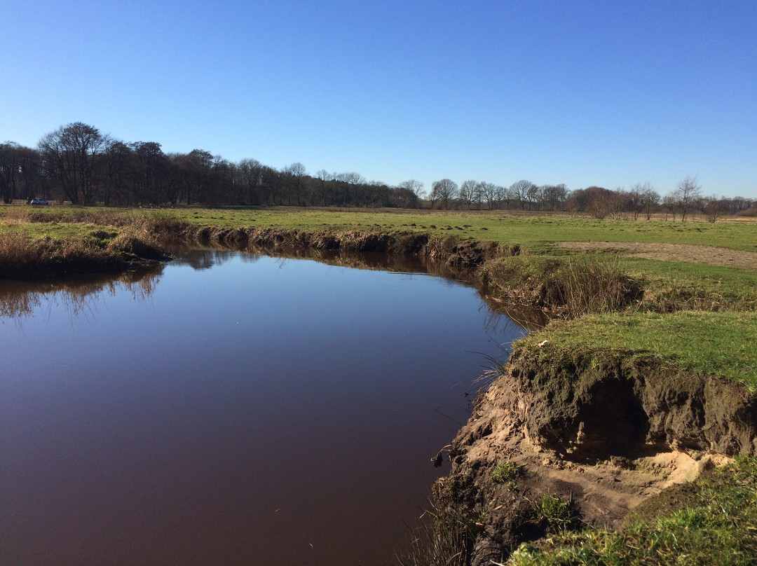 Nationaal Park Drentsche Aa景点图片