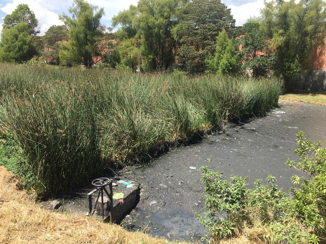 Humedal la Vaca-波哥大必去景点