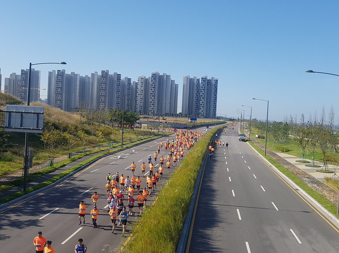 Baegot Life Park-始兴市必去景点