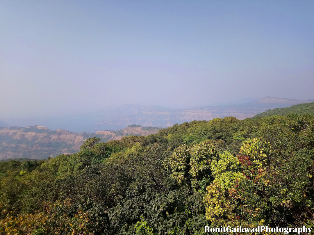 Radhanagari Wildlife Sanctuary景点图片