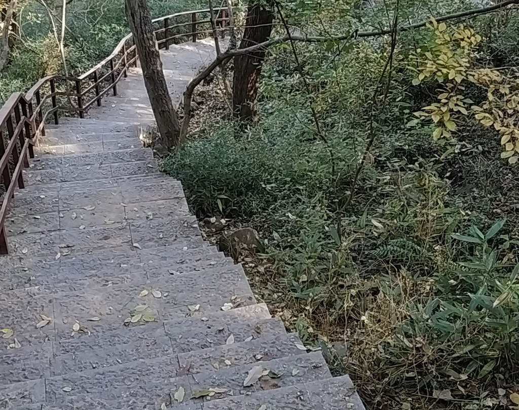 蜀山春晓-合肥市必去景点