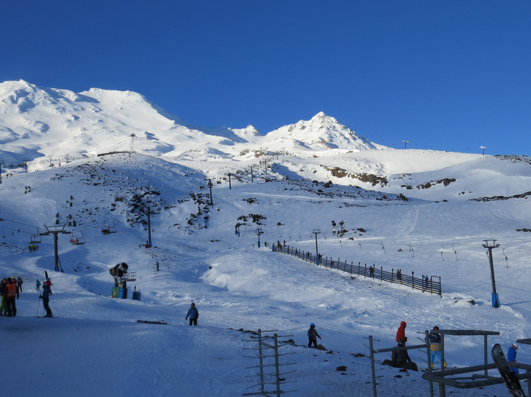 Maxwell Services-奥克兰中心地区必去景点