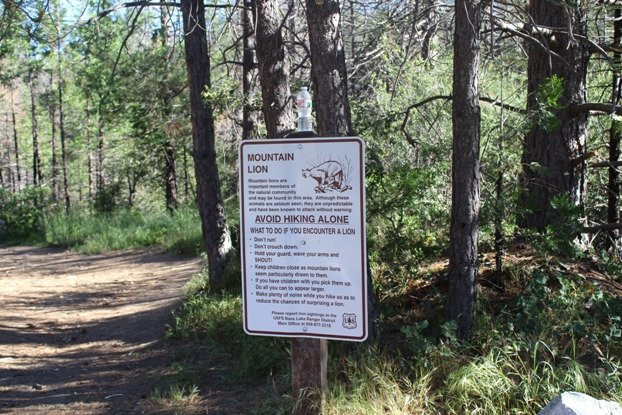 Lewis Creek Trail-菲什营必去景点