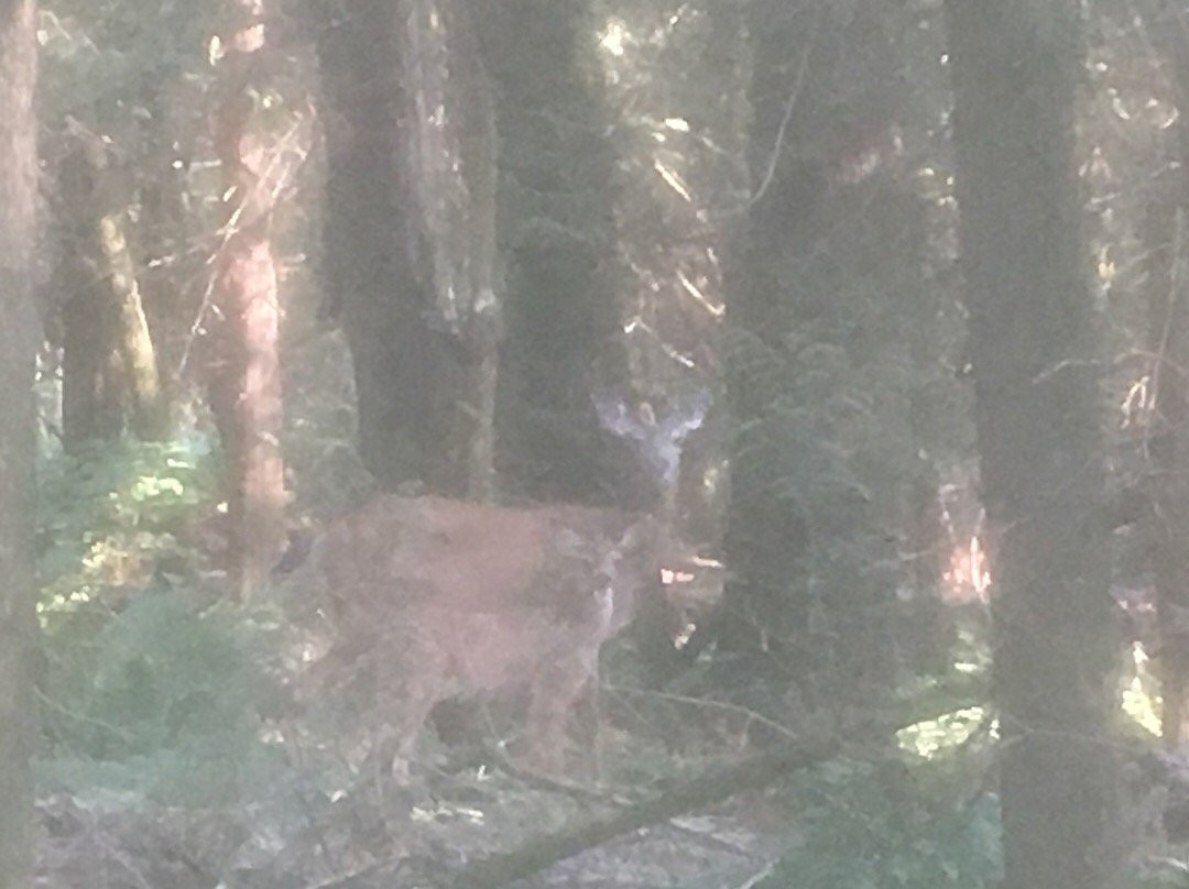 Aldergrove Park-Aldergrove必去景点