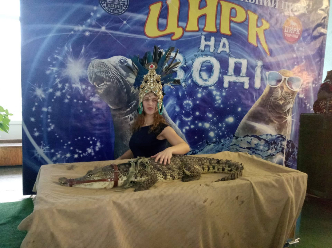 Zaporizhzhya State Circus-Zaporizhzhya必去景点
