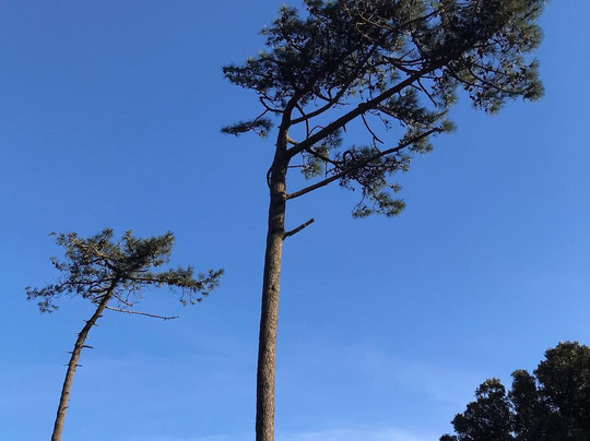 Mundo Posibilidades Ocio & Actividades-Los Barrios必去景点