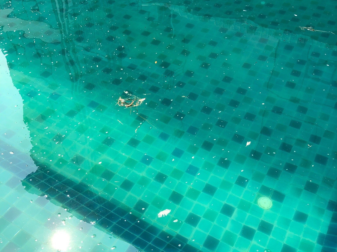 Alvarez Hotel主图