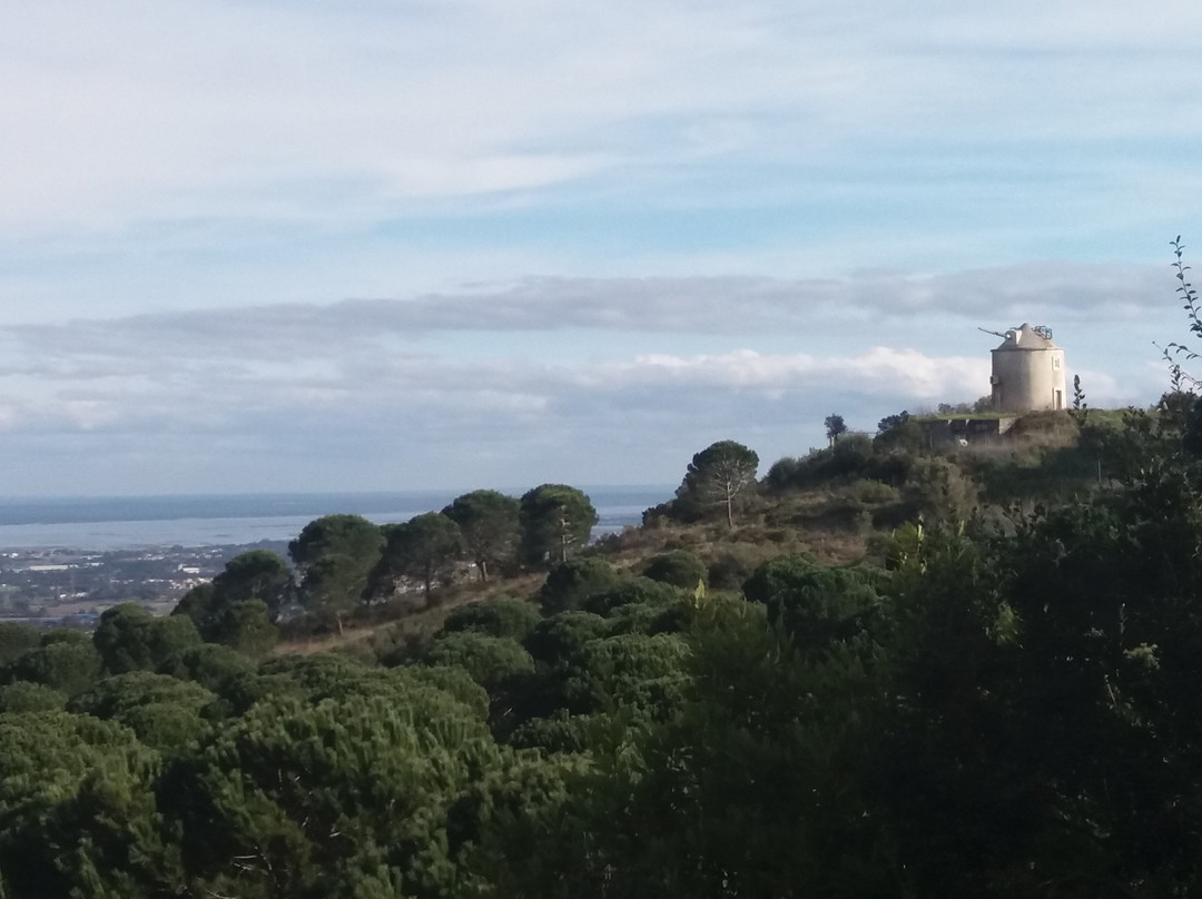Miradouro Municipal de Palmela景点图片