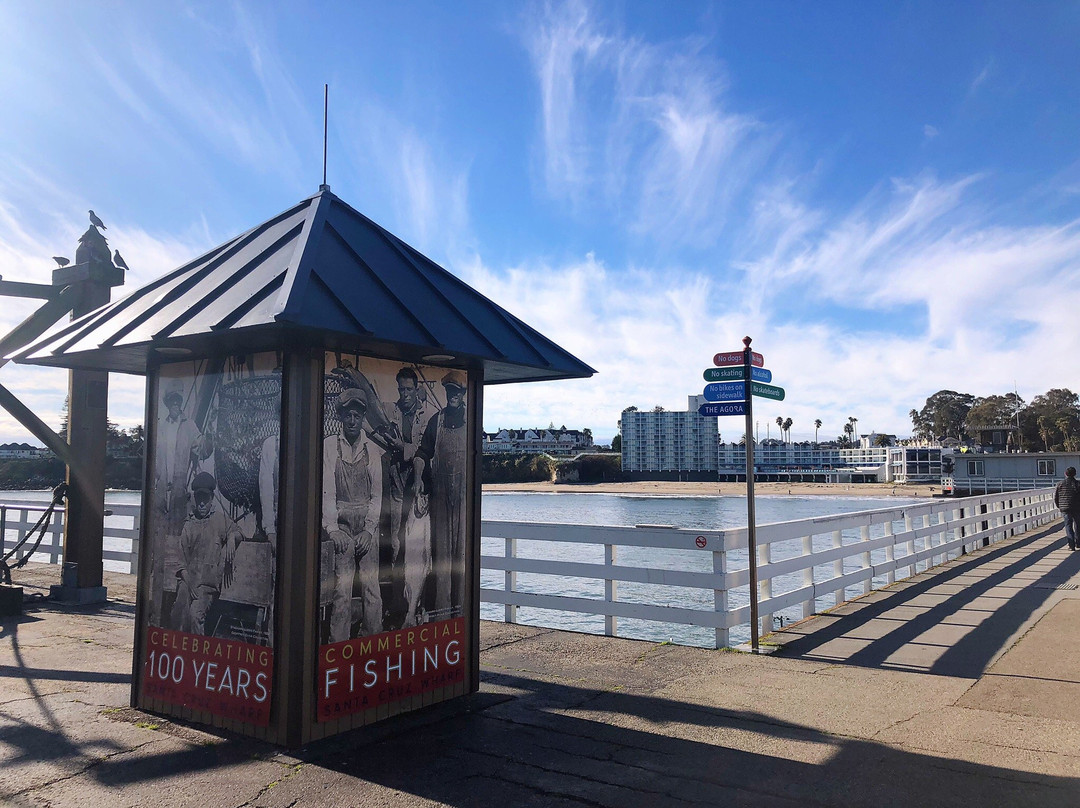 Santa Cruz Harbor Beach-圣克鲁斯必去景点