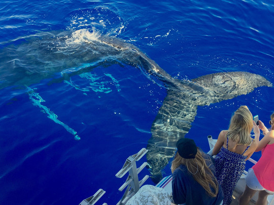 Pride of Maui-怀露库必去景点