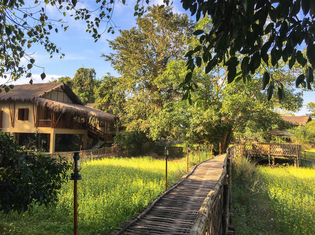 Diphlu River Lodge