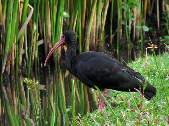 Parque Regional La Florida-波哥大必去景点