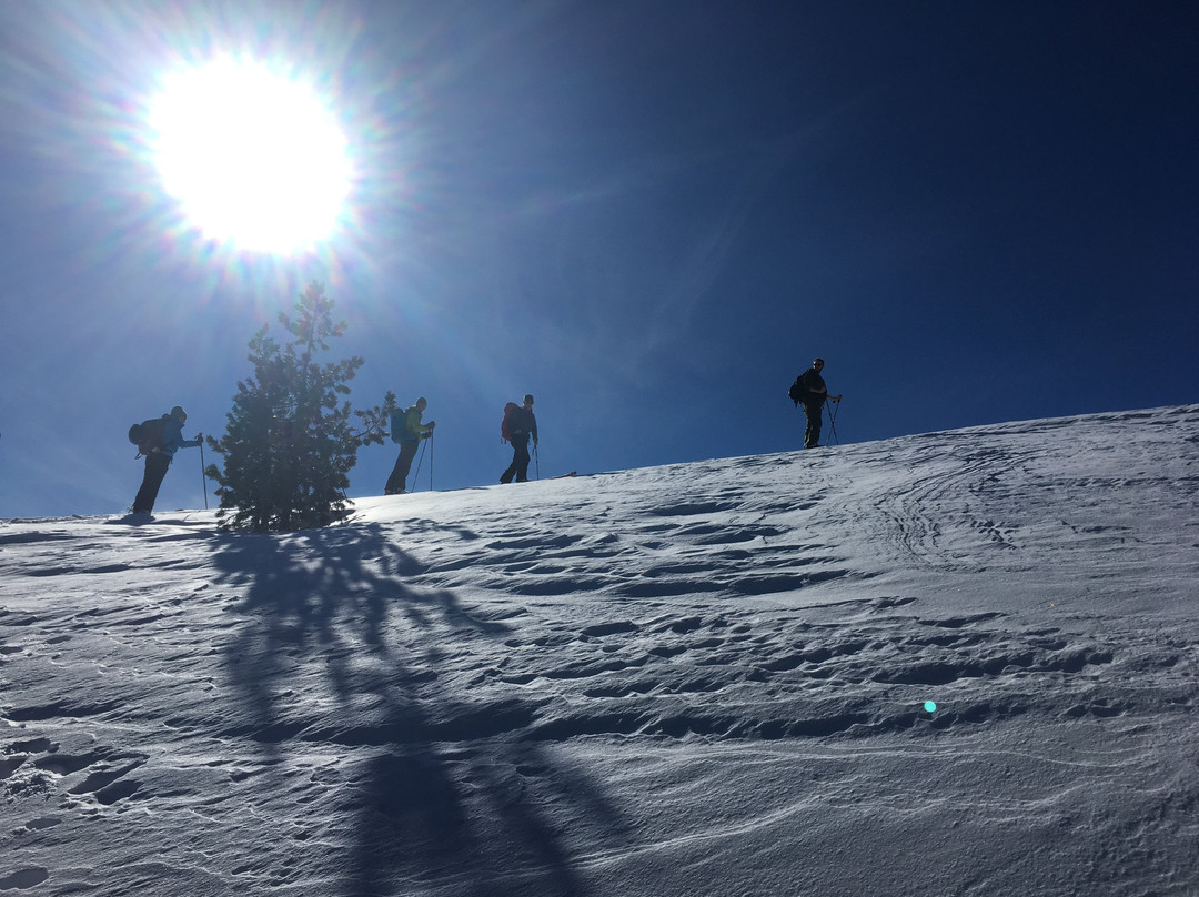 Sawtooth Mountain Guides景点图片