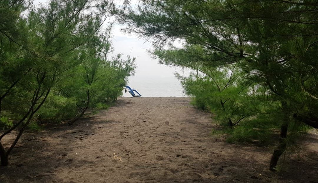 Wedi Ireng Beach-巴纽旺宣必去景点