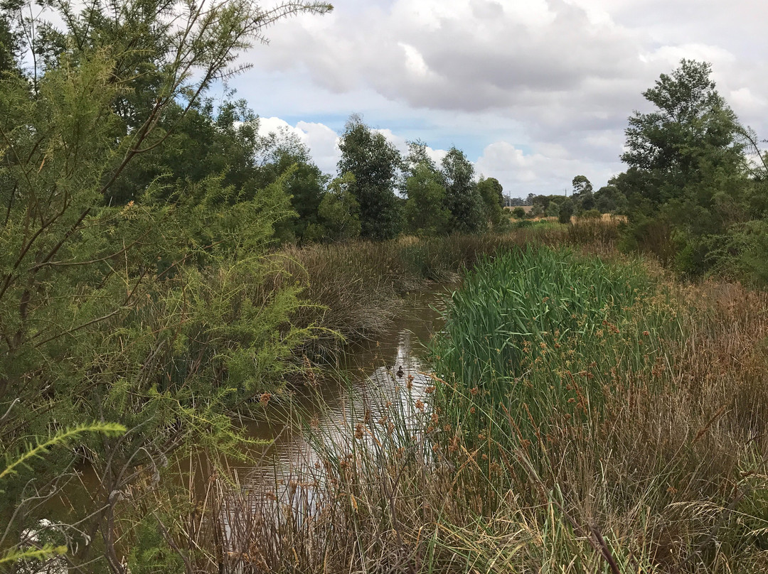 Firmins Lane Wetlands-摩威必去景点
