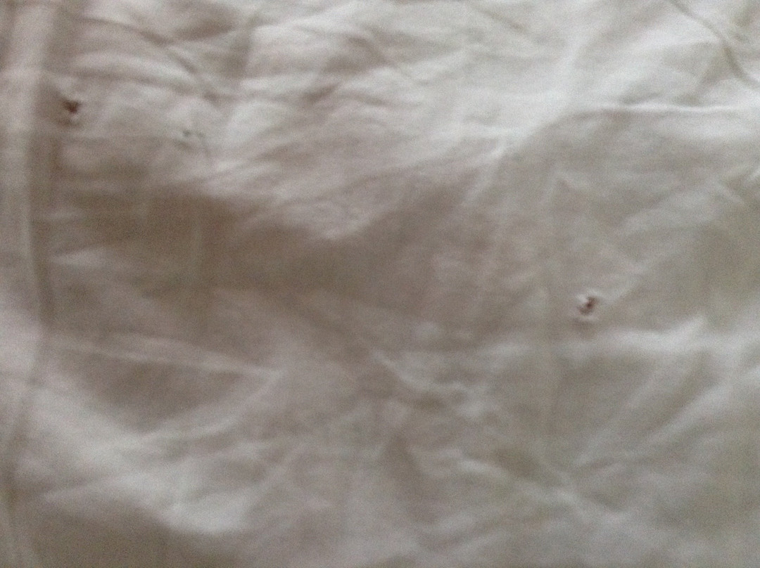 La Posada Bed & Breakfast主图