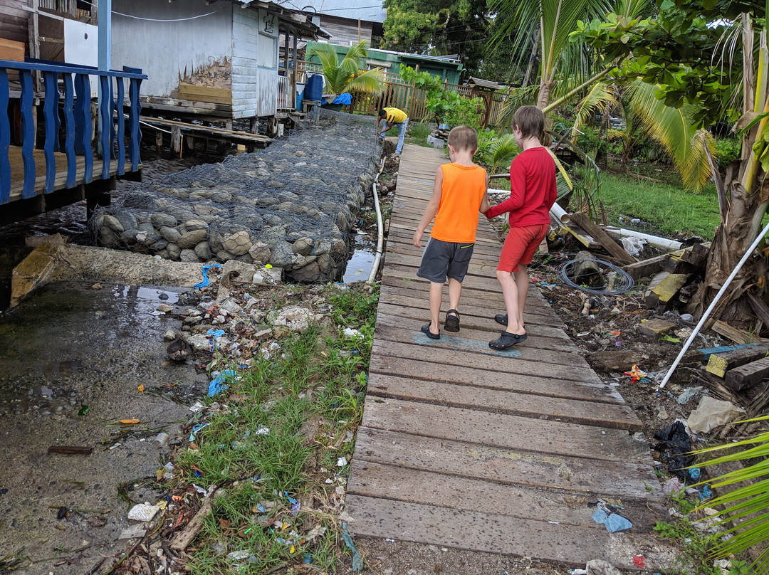 Koko Over The Water主图