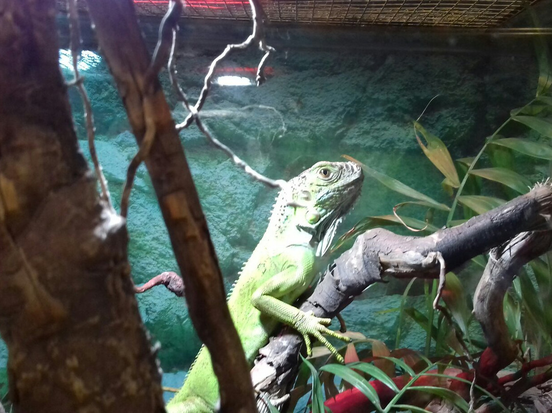 Naturama Science Center-Martignacco必去景点