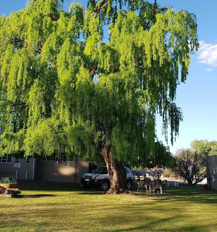 Van Zylsvlei B&B主图