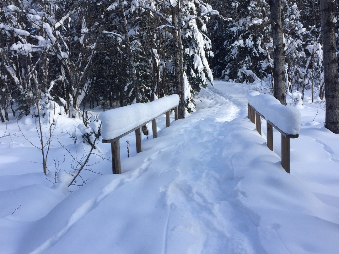 Aroostook National Wildlife Refuge景点图片