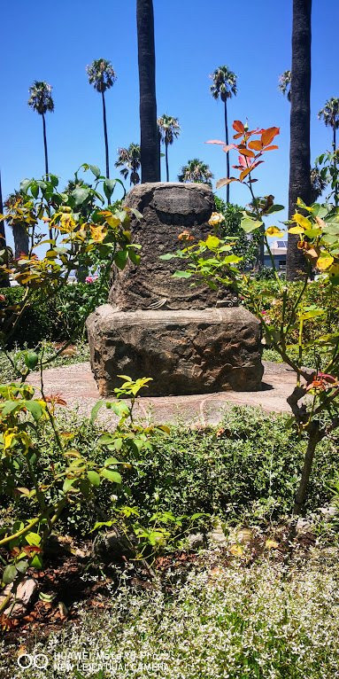 Milson Park景点图片