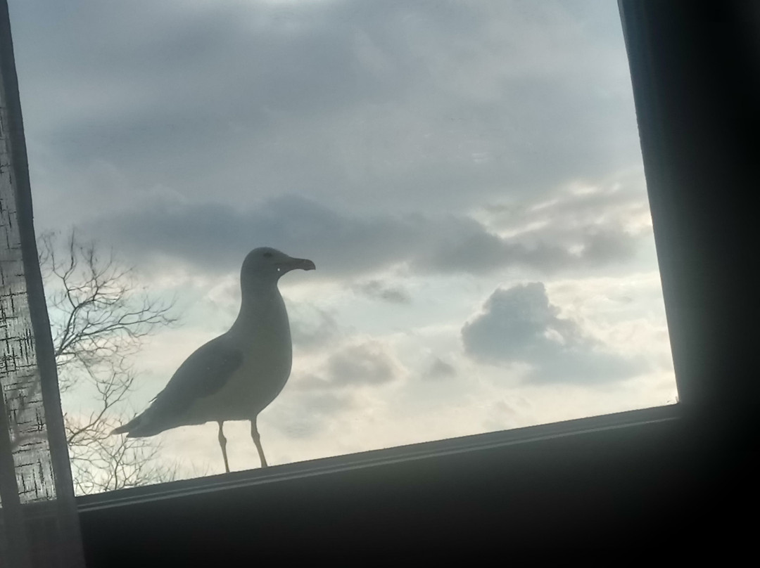 Oreanda Premier Hotel主图