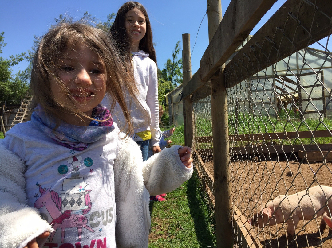 Agricola Anka Mapu-San Clemente必去景点