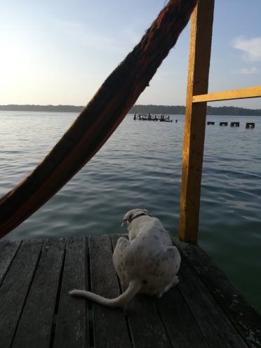 Tio Tom's Guesthouse-官方