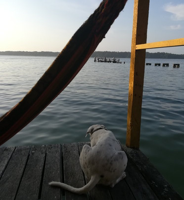 Tio Tom's Guesthouse主图