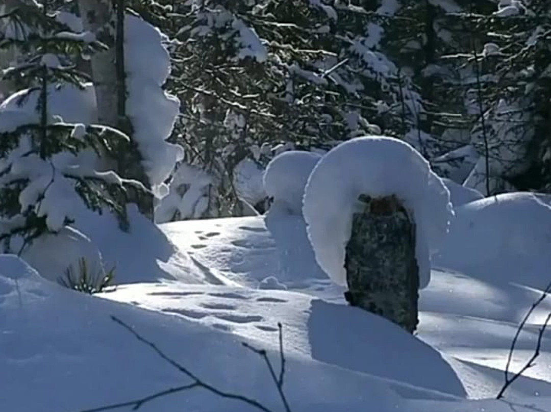 Altopiano delle Cinquemiglia-Rocca Pia必去景点