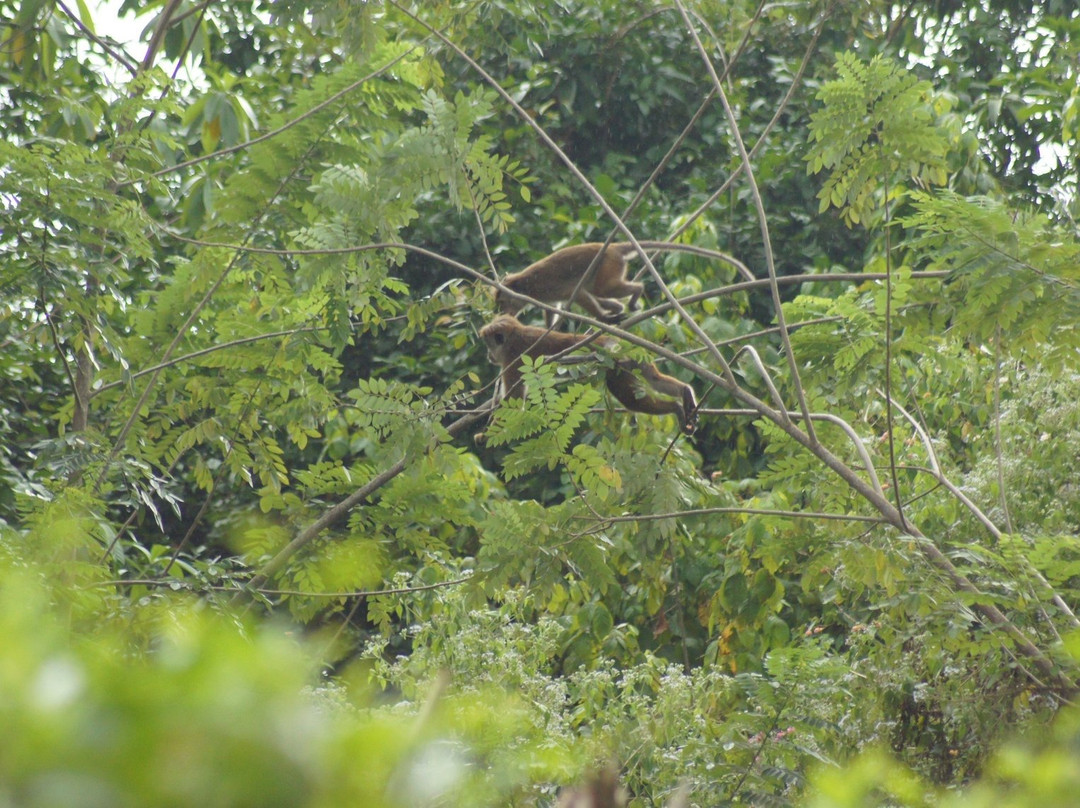 Thebuwana Bungalow主图