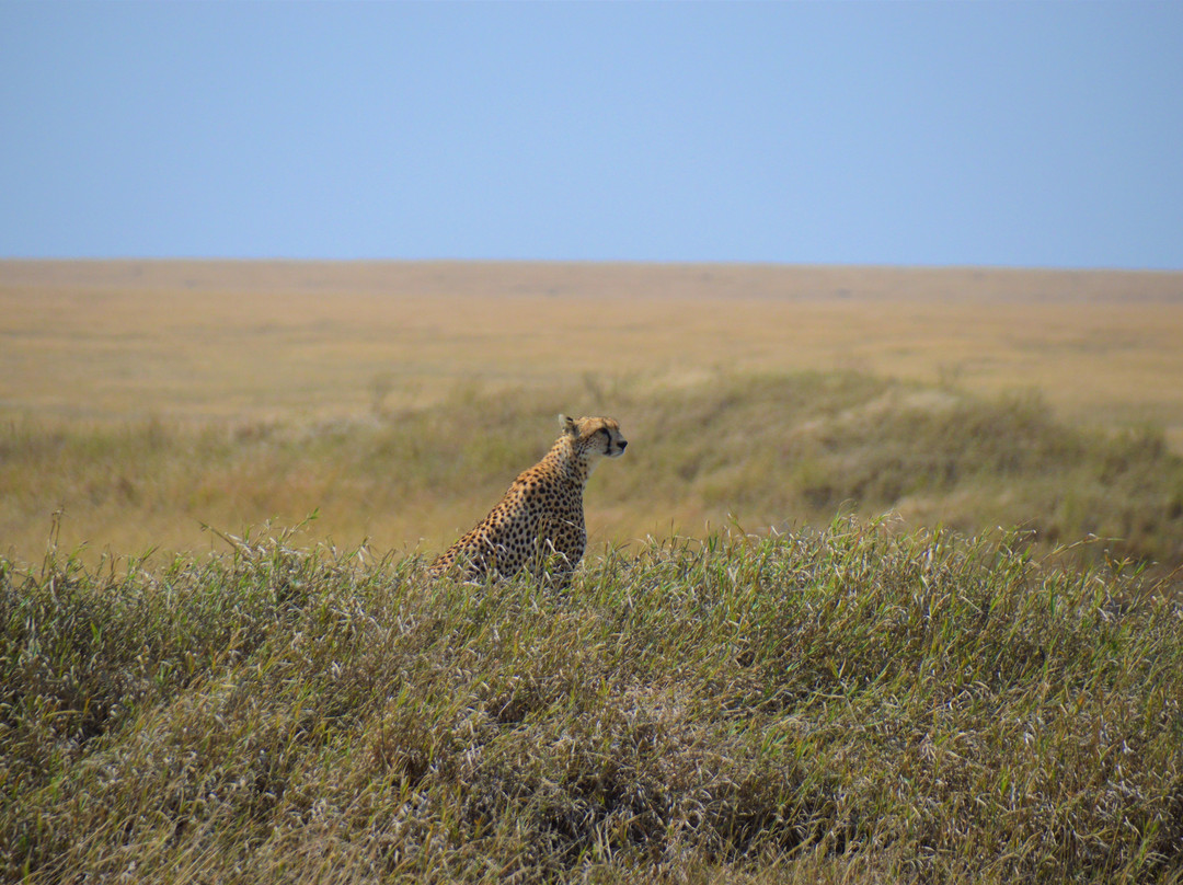 Fair Travel Group Tanzania-阿鲁沙必去景点