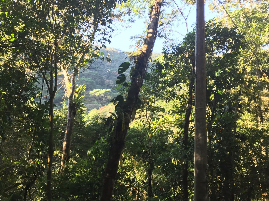 La Escuela, Vereda El Carmen-比亚维森西奥必去景点