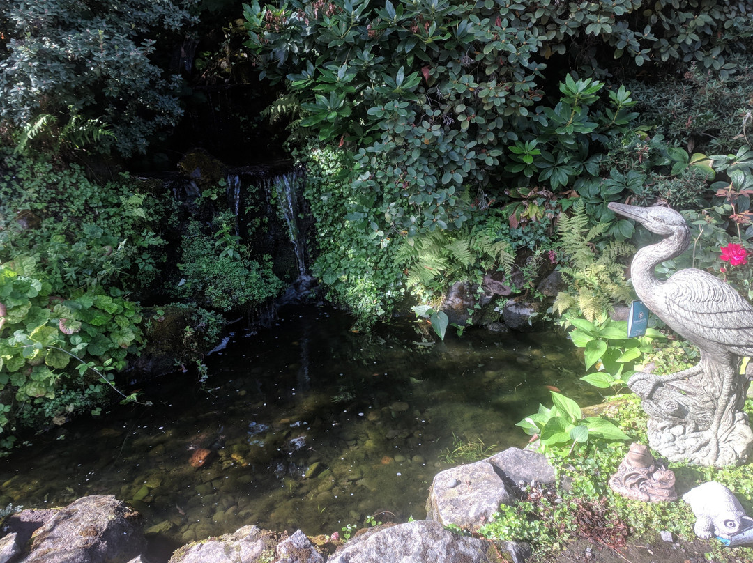 Hughes Water Gardens-图拉丁必去景点