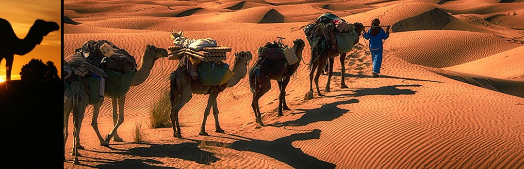 Caravane Rose du Sable-马拉喀什必去景点