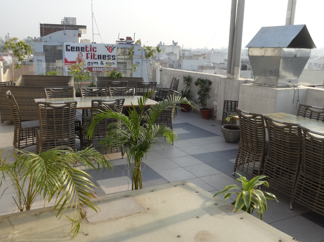 Mohan Tulip Hotel主图