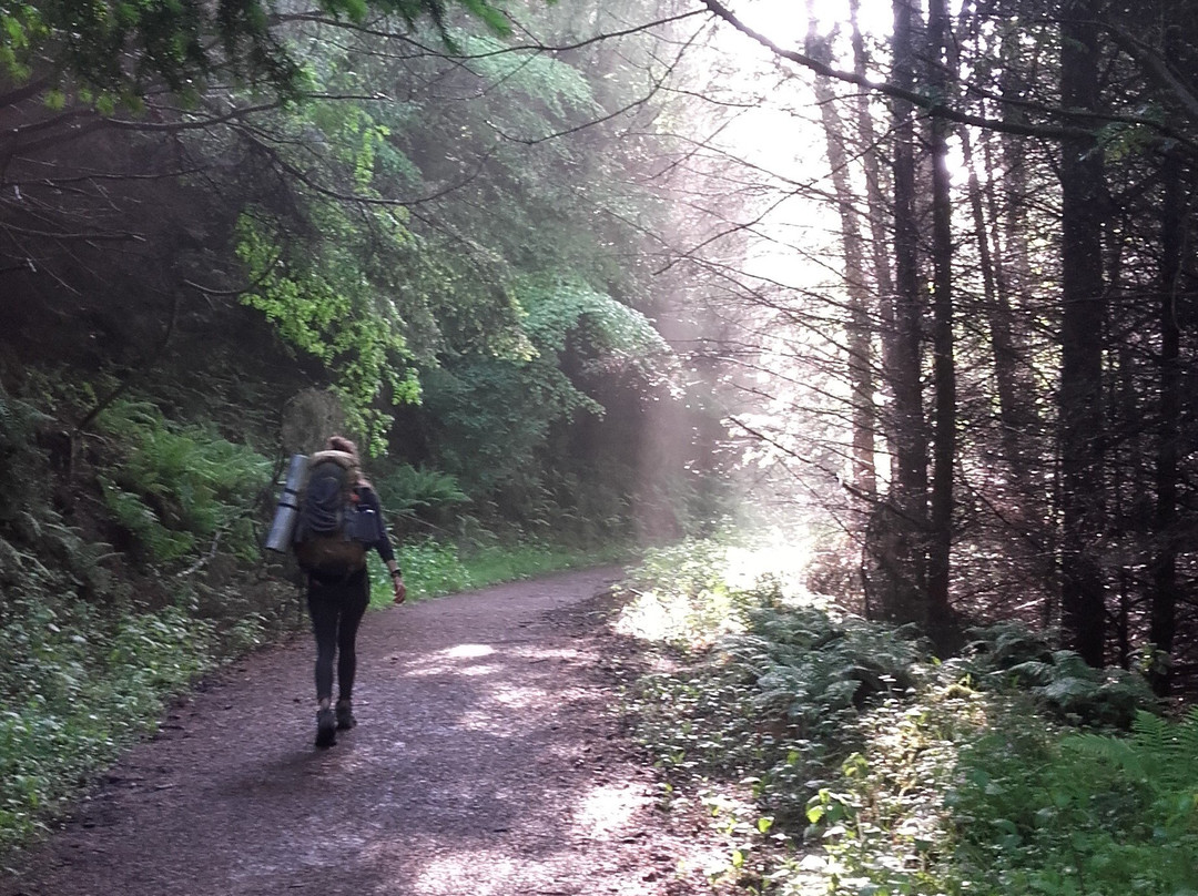 Curtrekkers-Rathfarnham必去景点