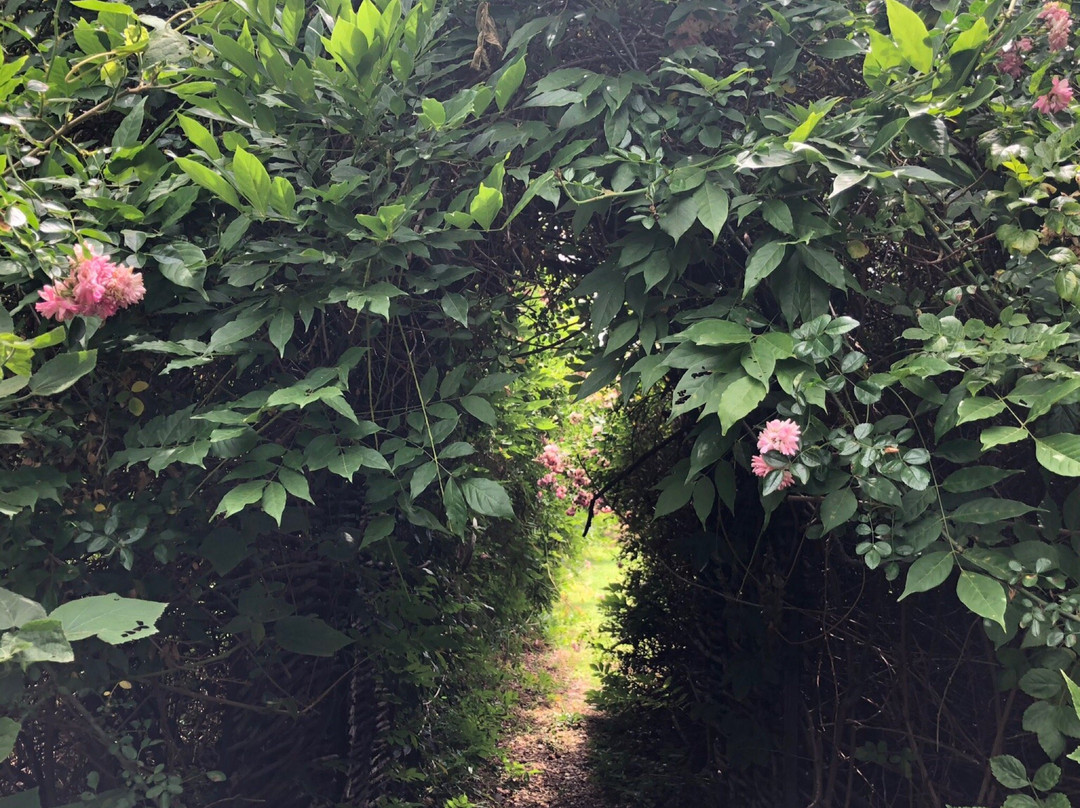 Muldersvlei Estate Guesthouse主图